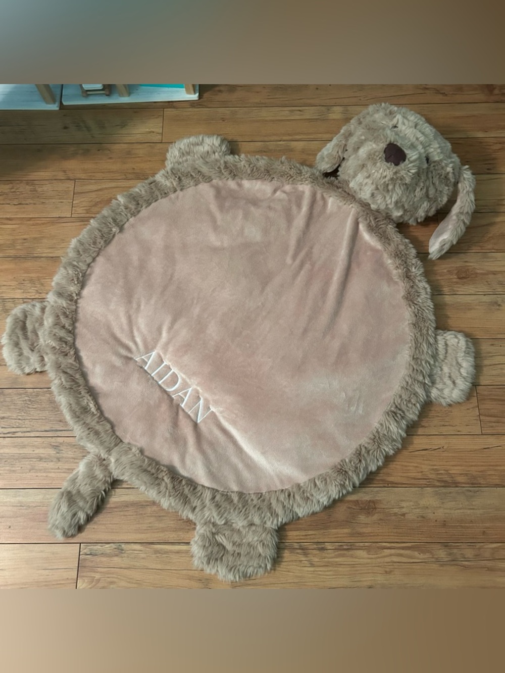 Aidan Pottery barn baby mat